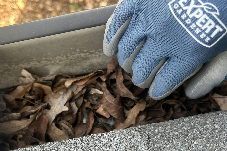 Gutter Cleaning Elsmere