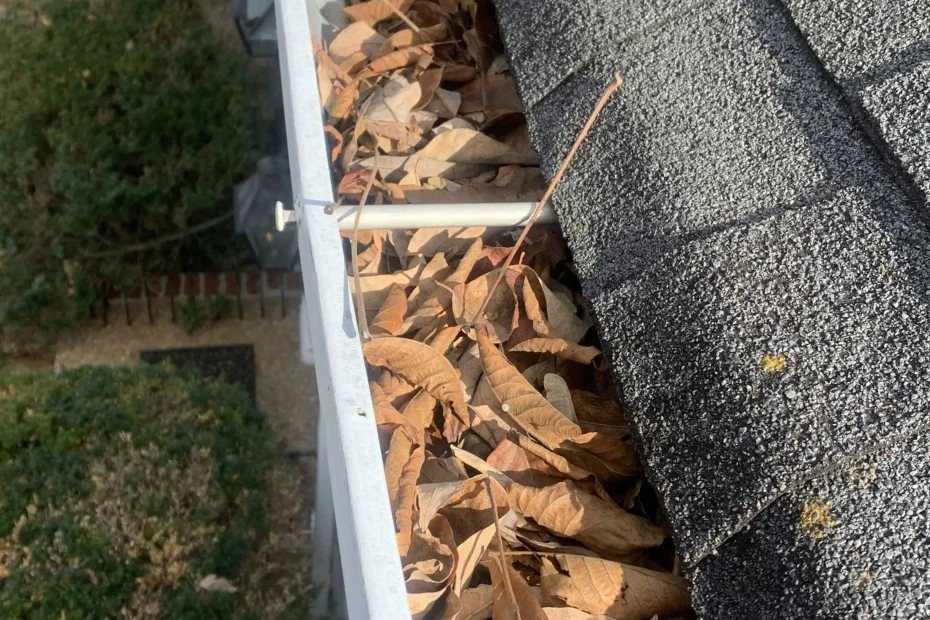 Gutter Cleaning Elsmere