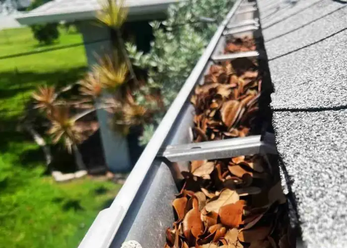 Gutter Cleaning Elsmere home page